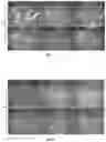 Fig. 08 - PHENOXY ACID COMPOUNDS AND MEDICAL USES THEREOF