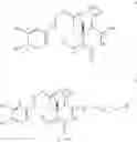 Fig. 04 - METHOD FOR OBTAINING OLEACEIN AND OLEOMISSIONAL TYPE SECOIRIDOIDS AND FOR PRODUCING RESPECTIVE PHARMACEUTICAL PREPARATIONS