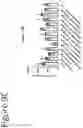 Fig. 24 - Modified amine lipids