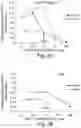 Fig. 03 - BIARYL COMPOSITIONS IN COMBINATION WITH TAMOXIFEN AND METHODS FOR MODULATING A KINASE CASCADE