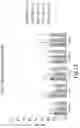 Fig. 13 - BIARYL COMPOSITIONS IN COMBINATION WITH TAMOXIFEN AND METHODS FOR MODULATING A KINASE CASCADE