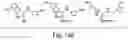 Fig. 20 - BIARYL COMPOSITIONS IN COMBINATION WITH TAMOXIFEN AND METHODS FOR MODULATING A KINASE CASCADE