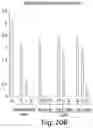 Fig. 25 - BIARYL COMPOSITIONS IN COMBINATION WITH TAMOXIFEN AND METHODS FOR MODULATING A KINASE CASCADE