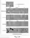Fig. 26 - BIARYL COMPOSITIONS IN COMBINATION WITH TAMOXIFEN AND METHODS FOR MODULATING A KINASE CASCADE