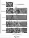 Fig. 27 - BIARYL COMPOSITIONS IN COMBINATION WITH TAMOXIFEN AND METHODS FOR MODULATING A KINASE CASCADE