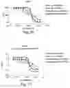 Fig. 31 - BIARYL COMPOSITIONS IN COMBINATION WITH TAMOXIFEN AND METHODS FOR MODULATING A KINASE CASCADE