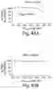 Fig. 45 - BIARYL COMPOSITIONS IN COMBINATION WITH TAMOXIFEN AND METHODS FOR MODULATING A KINASE CASCADE