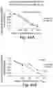 Fig. 46 - BIARYL COMPOSITIONS IN COMBINATION WITH TAMOXIFEN AND METHODS FOR MODULATING A KINASE CASCADE