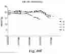 Fig. 57 - BIARYL COMPOSITIONS IN COMBINATION WITH TAMOXIFEN AND METHODS FOR MODULATING A KINASE CASCADE