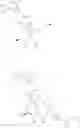 Fig. 173 - Saturated-ring-fused dihydropyrimidinone or dihydrotriazinone compounds and pharmaceutical use thereof