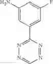 Fig. 97 - NOVEL TETRAZINE COMPOUNDS FOR IN VIVO IMAGING