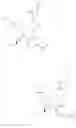 Fig. 49 - METHOD FOR PRODUCING OPTICALLY ACTIVE PYRROLIDINE COMPOUNDS
