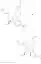 Fig. 50 - METHOD FOR PRODUCING OPTICALLY ACTIVE PYRROLIDINE COMPOUNDS