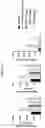 Fig. 10 - CB1R RECEPTOR BLOCKERS WITH ACYCLIC BACKBONES