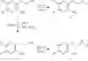 Fig. 552 - HETEROCYCLIC COMPOUNDS AS ADENOSINE ANTAGONISTS