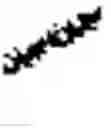 Fig. 04 - FLUOROVINYLBENZAMIDE COMPOUND AS PD-L1 IMMUNOMODULATOR