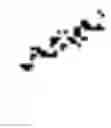 Fig. 06 - FLUOROVINYLBENZAMIDE COMPOUND AS PD-L1 IMMUNOMODULATOR