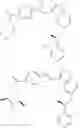 Fig. 20 - FLUOROVINYLBENZAMIDE COMPOUND AS PD-L1 IMMUNOMODULATOR