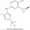 Fig. 38 - COMPOUND, COMPOSITIONS, AND METHODS