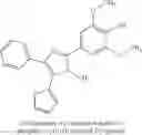 Fig. 12 - Small molecule neutral sphingomyelinase 2 (nSMase2) inhibitors
