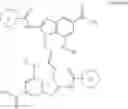 Fig. 08 - IMMUNOMODULATOR