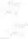 Fig. 138 - IMMUNOMODULATOR