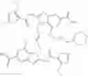 Fig. 145 - IMMUNOMODULATOR