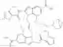 Fig. 166 - IMMUNOMODULATOR