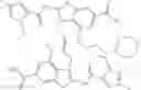 Fig. 216 - IMMUNOMODULATOR