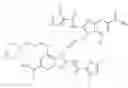 Fig. 70 - IMMUNOMODULATOR