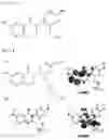 Fig. 02 - Composition for inhibiting growth of SARS-CoV-2 and method of preparing the same