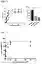 Fig. 06 - Composition for inhibiting growth of SARS-CoV-2 and method of preparing the same