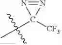 Fig. 06 - Potent antiviral pyrazolopyridine compounds