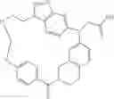 Fig. 157 - Macrocyclic compound and use thereof