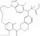 Fig. 222 - Macrocyclic compound and use thereof