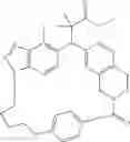 Fig. 246 - Macrocyclic compound and use thereof