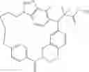 Fig. 248 - Macrocyclic compound and use thereof