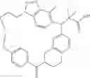 Fig. 301 - Macrocyclic compound and use thereof