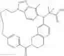 Fig. 350 - Macrocyclic compound and use thereof