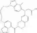 Fig. 75 - Macrocyclic compound and use thereof