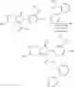 Fig. 202 - Substituted imidazo[1,5-a]pyrazines for the treatment of hepatitis B