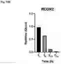 Fig. 101 - COMPOUNDS AND COMPOSITIONS THAT CAUSE MYCN AND/OR CMYC DEGRADATION AND METHODS OF USE THEREOF