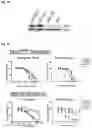 Fig. 40 - COMPOUNDS AND COMPOSITIONS THAT CAUSE MYCN AND/OR CMYC DEGRADATION AND METHODS OF USE THEREOF