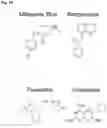 Fig. 41 - COMPOUNDS AND COMPOSITIONS THAT CAUSE MYCN AND/OR CMYC DEGRADATION AND METHODS OF USE THEREOF