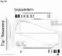 Fig. 44 - COMPOUNDS AND COMPOSITIONS THAT CAUSE MYCN AND/OR CMYC DEGRADATION AND METHODS OF USE THEREOF