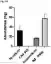 Fig. 72 - COMPOUNDS AND COMPOSITIONS THAT CAUSE MYCN AND/OR CMYC DEGRADATION AND METHODS OF USE THEREOF