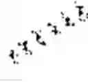 Fig. 05 - Cyclopropylamine compound as LSD1 inhibitor and use thereof