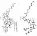 Fig. 06 - Turbinmicin compounds, compositions and uses thereof
