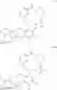 Fig. 12 - Macrocyclic immunomodulators