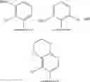 Fig. 16 - Macrocyclic immunomodulators